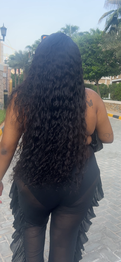 Virgin Burmese Bundle
