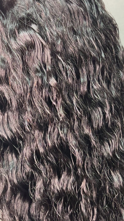 Virgin Burmese Bundle